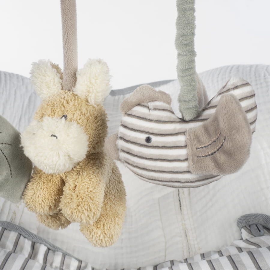 Espiral Burrinho - Botton Strips