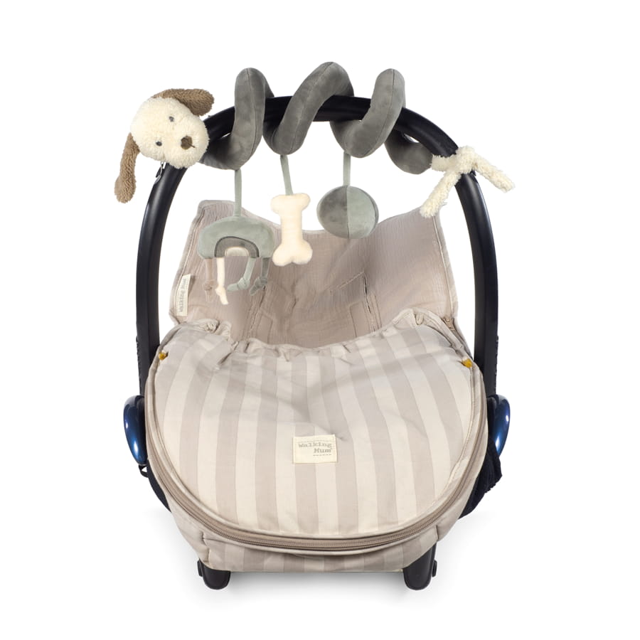 Espiral Cão - Sintra Green