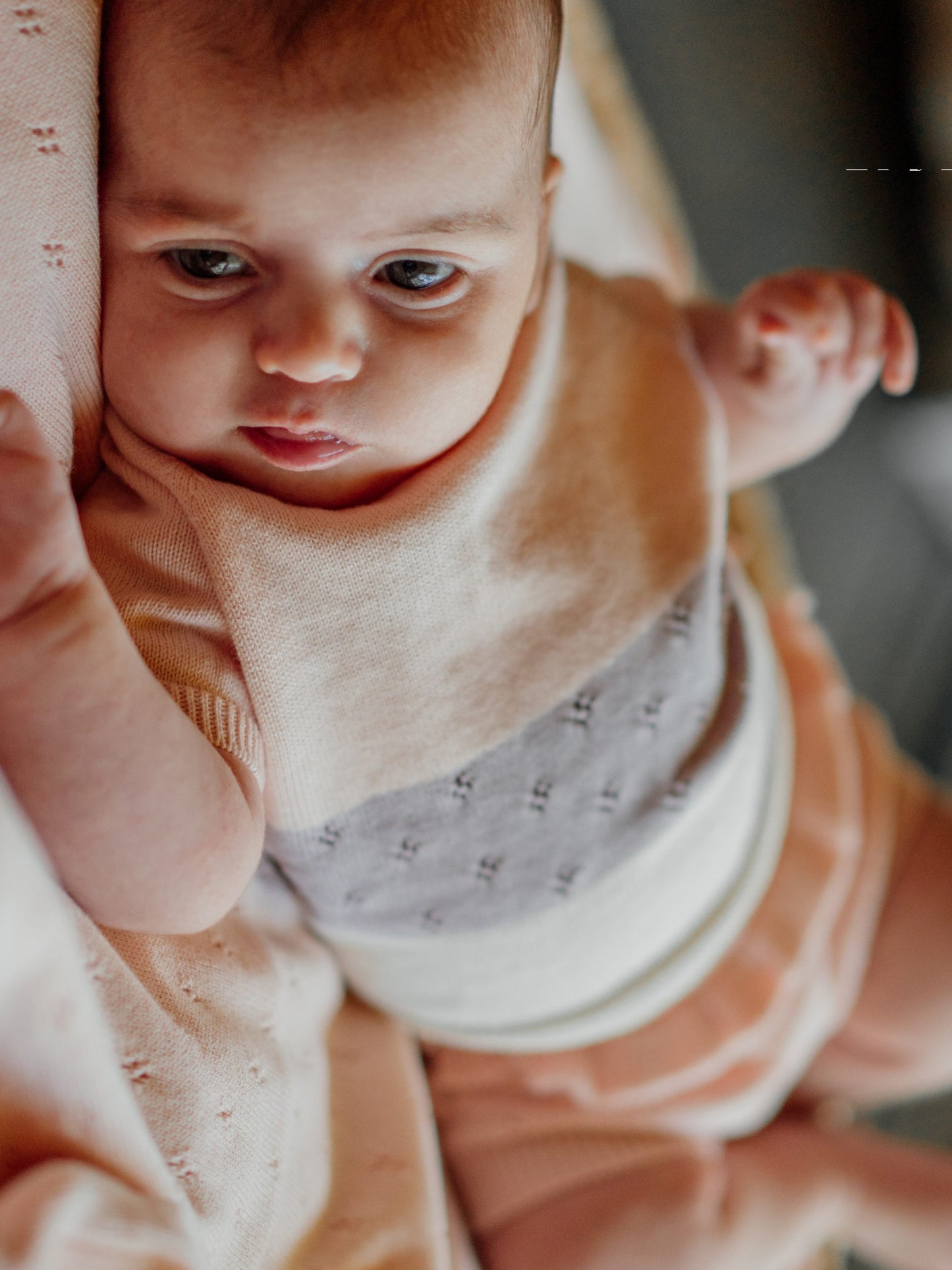 Camisola de manga curta tricotada em algodão orgânico - BREEZE