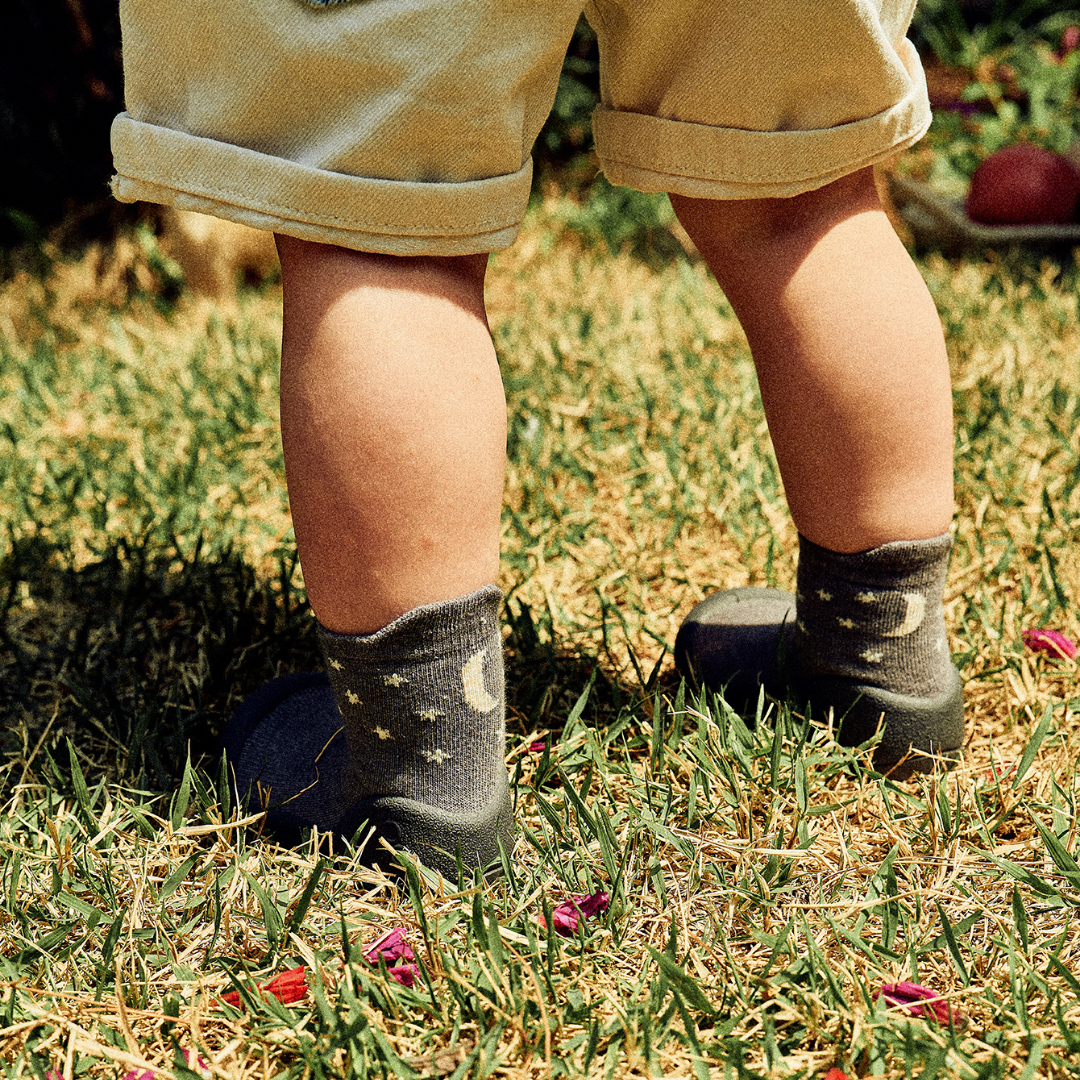 Attipas Woodland Grey Owl