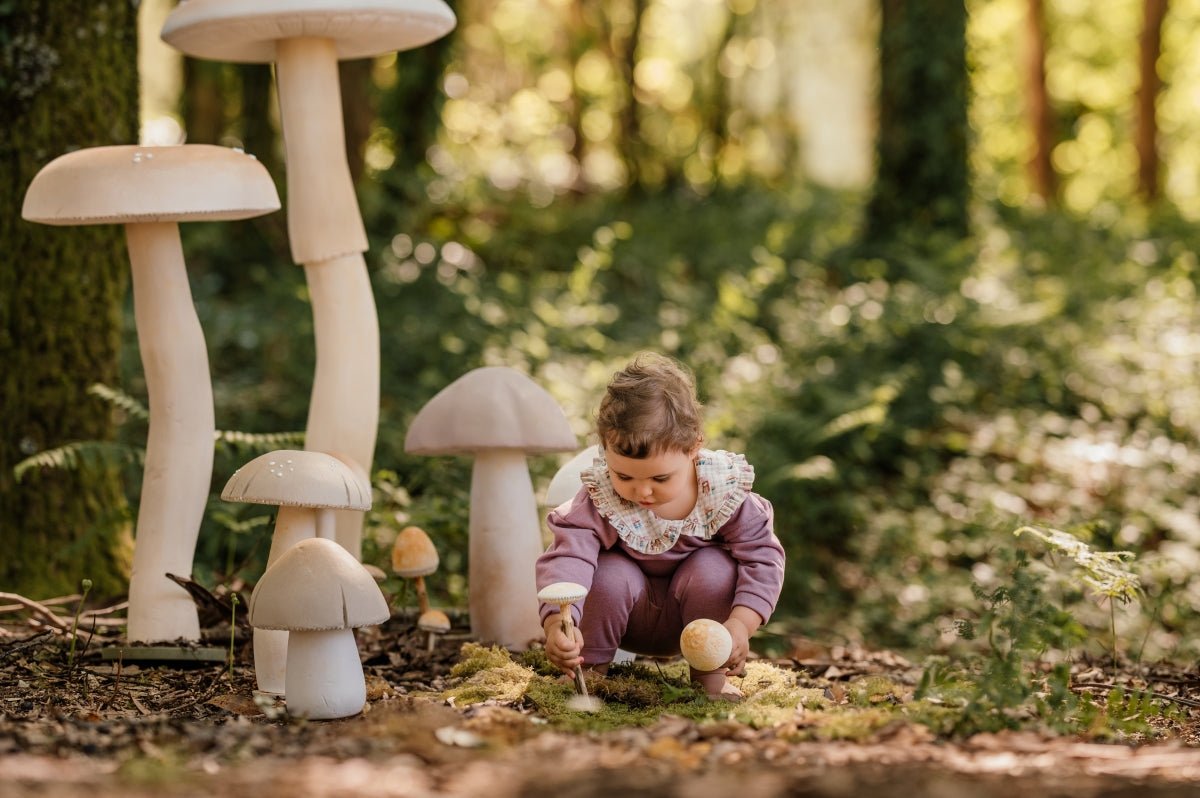 Conjunto de Fato de Treino Felpa - Winter