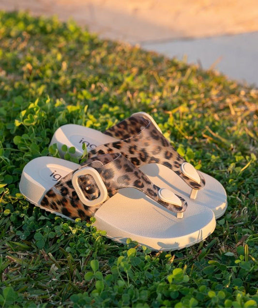Sandálias Adulto Bari Leopardo Igor
