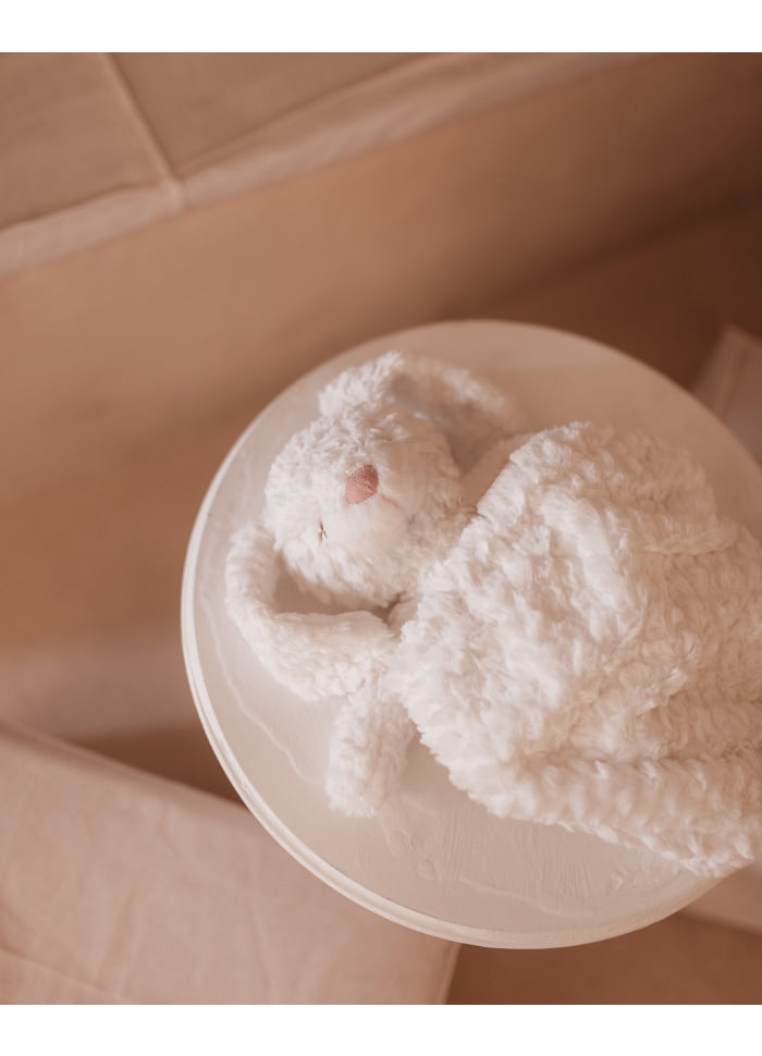 Peluche Mr. Pookie - Coelho