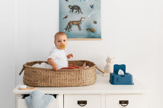 Porta Toalhitas Grande - Azul Tigre - Loja Papás & Bebés