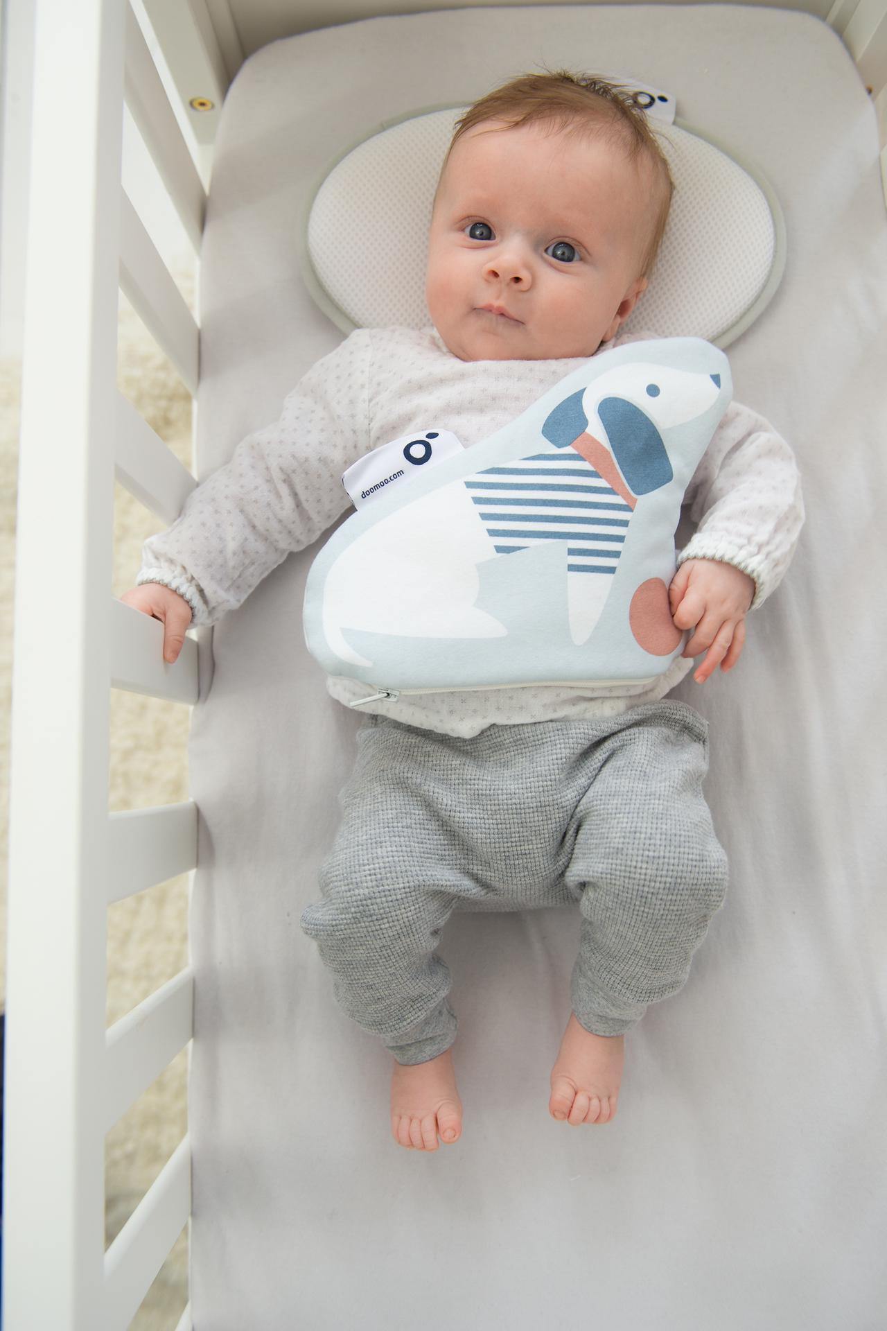 Snoogy Cão - Loja Papás & Bebés