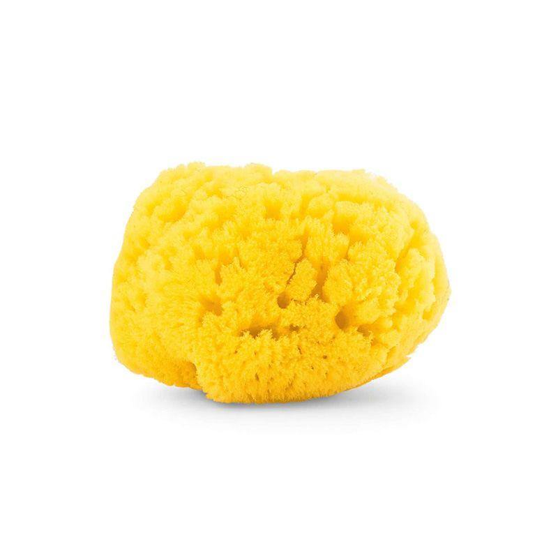 Esponja Marinha Natural Grande - Loja Papás & Bebés