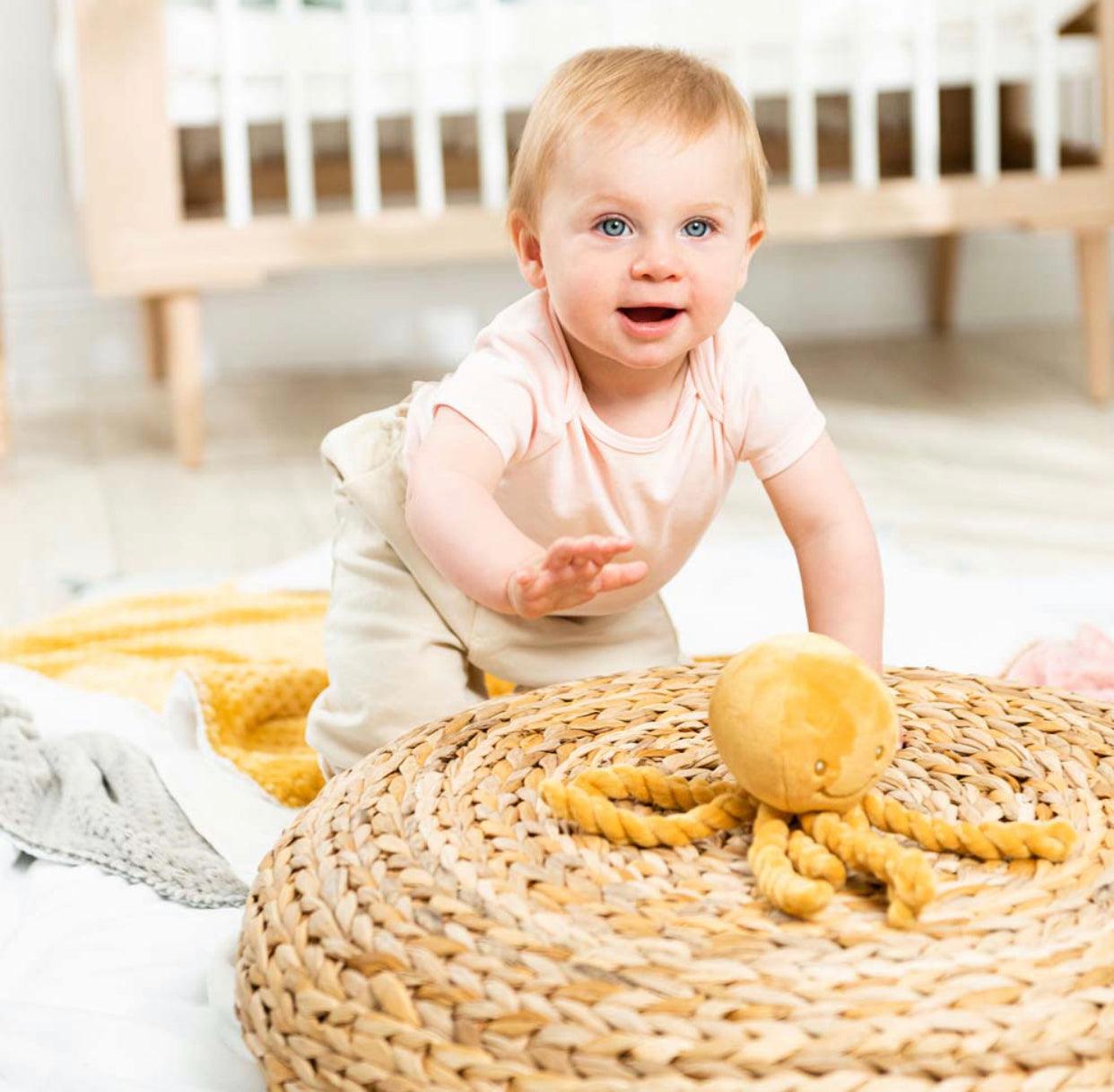 Lapidou Polvo Azul Navy - Loja Papás & Bebés