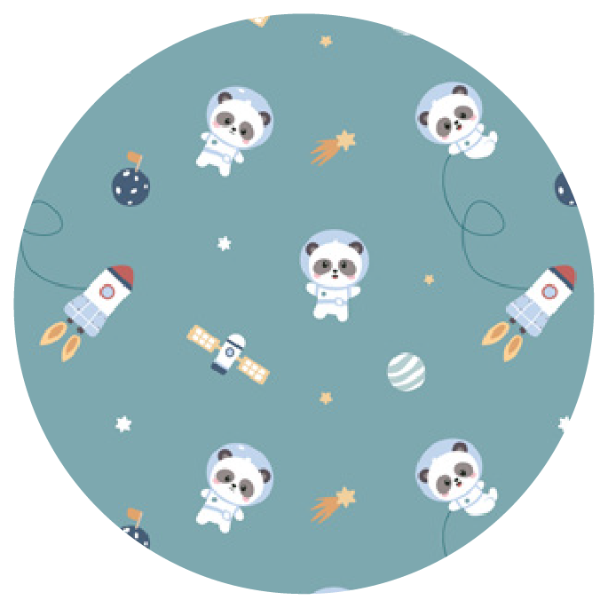 Pandas In Space