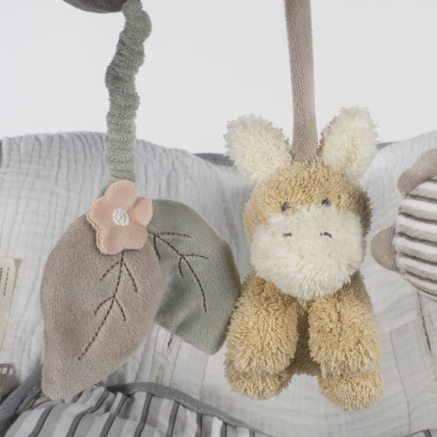 Espiral Burrinho - Botton Strips