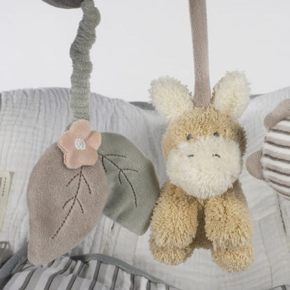 Espiral Burrinho - Botton Strips