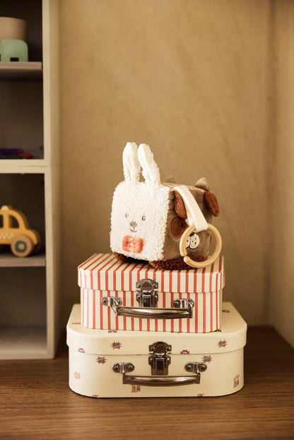 Jollein Cubo de Atividades - Animal Friends