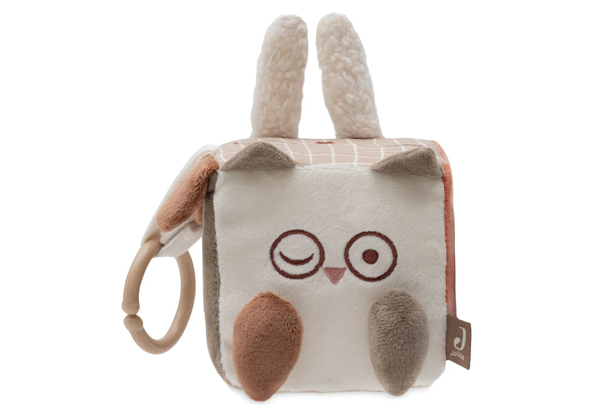 Jollein Cubo de Atividades - Animal Friends