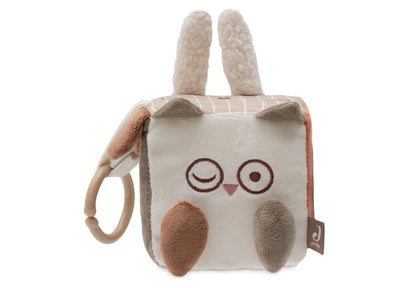 Jollein Cubo de Atividades - Animal Friends