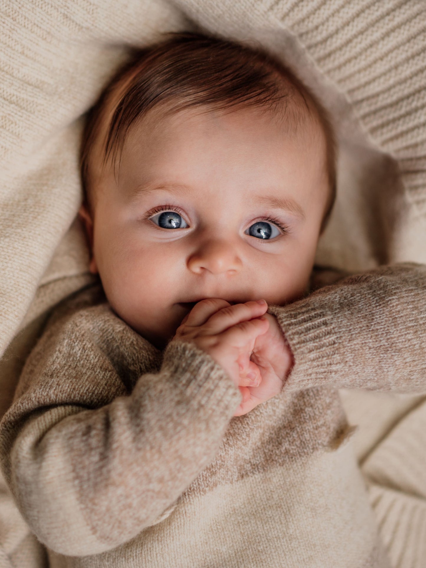 Wedoble - LITTLE TEDDY BEAR 
Camisola com ursinho Tricotada em Lã Merino