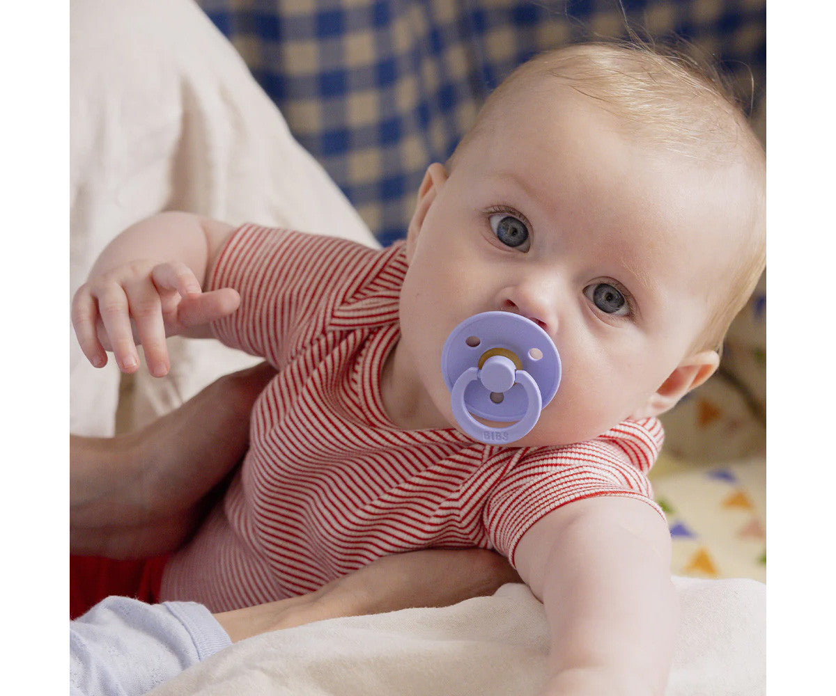 BIBS Studio Colour - Round Hush/Grape