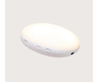 Peluche de Luz e Som -Teddy 2.0 Honey