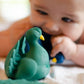 Brinquedo de Banho - Pavão Verde - Loja Papás & Bebés