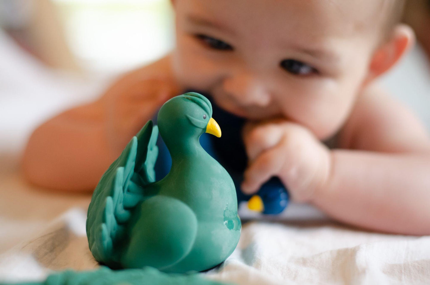 Brinquedo de Banho - Pavão Verde - Loja Papás & Bebés